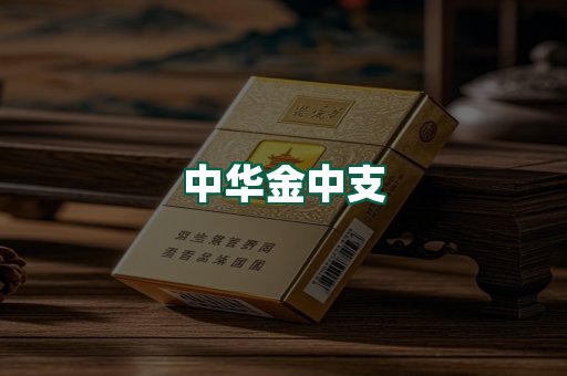 中华金中支